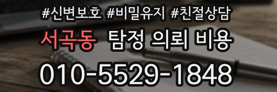 서곡동 탐정 의뢰 비용