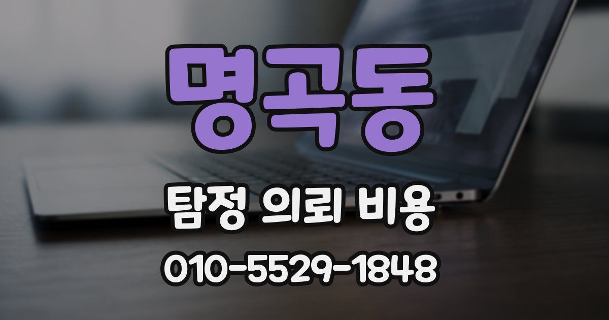 명곡동 탐정 의뢰 비용