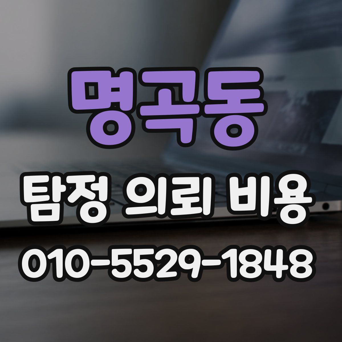 명곡동 탐정 의뢰 비용