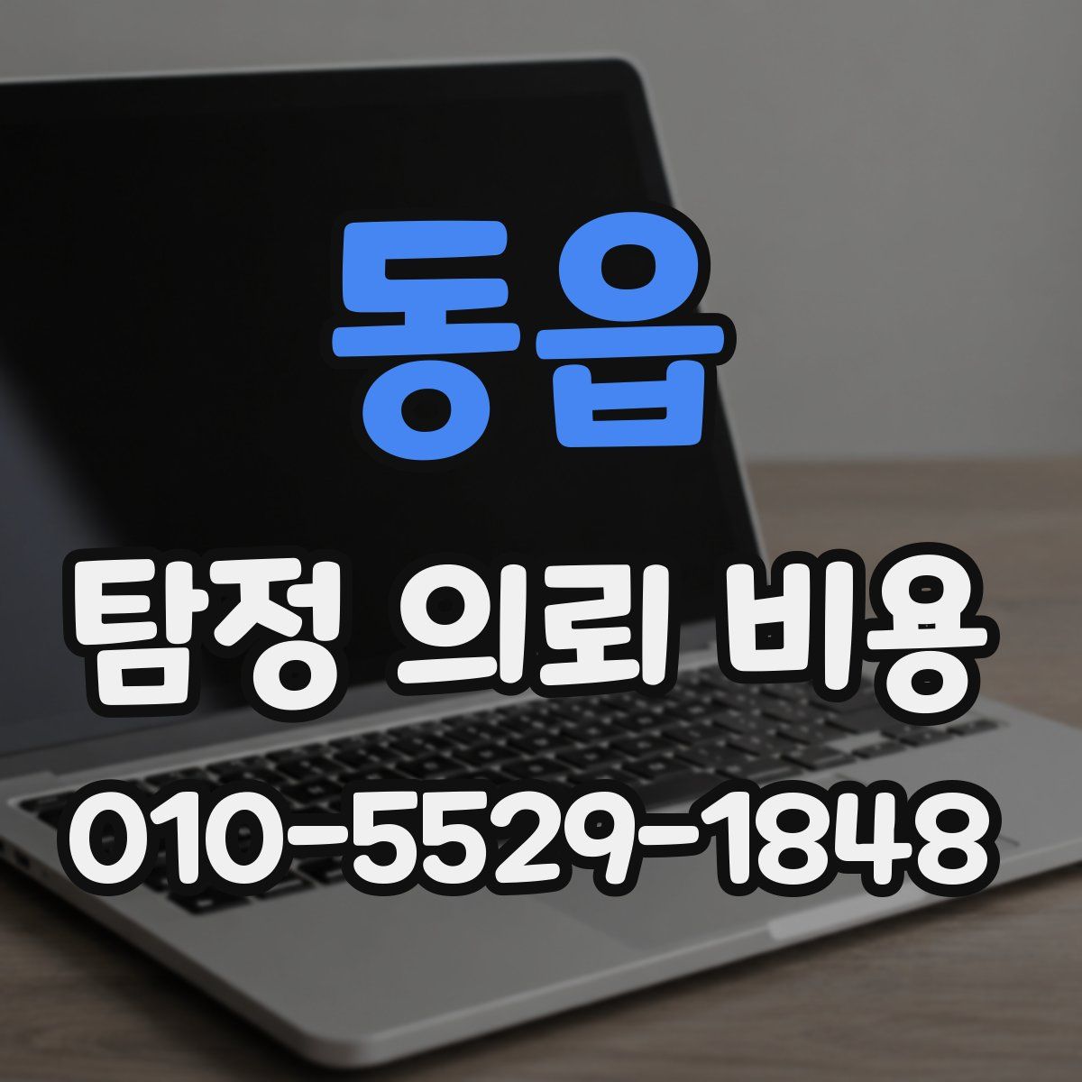 동읍 탐정 의뢰 비용