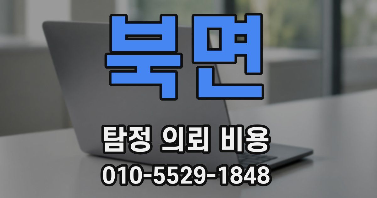 북면 탐정 의뢰 비용