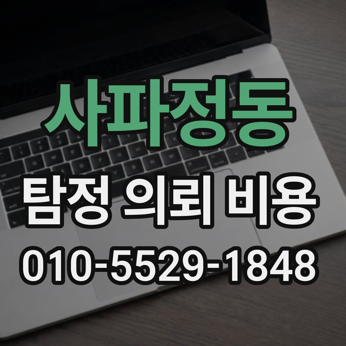 사파정동 탐정 의뢰 비용