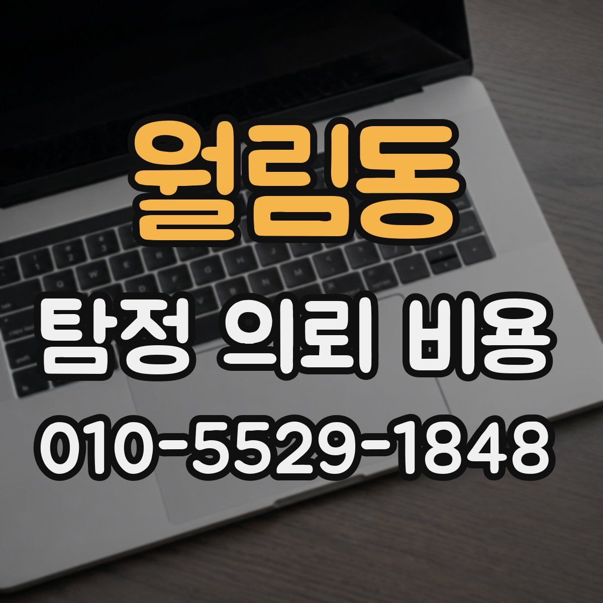 월림동 탐정 의뢰 비용