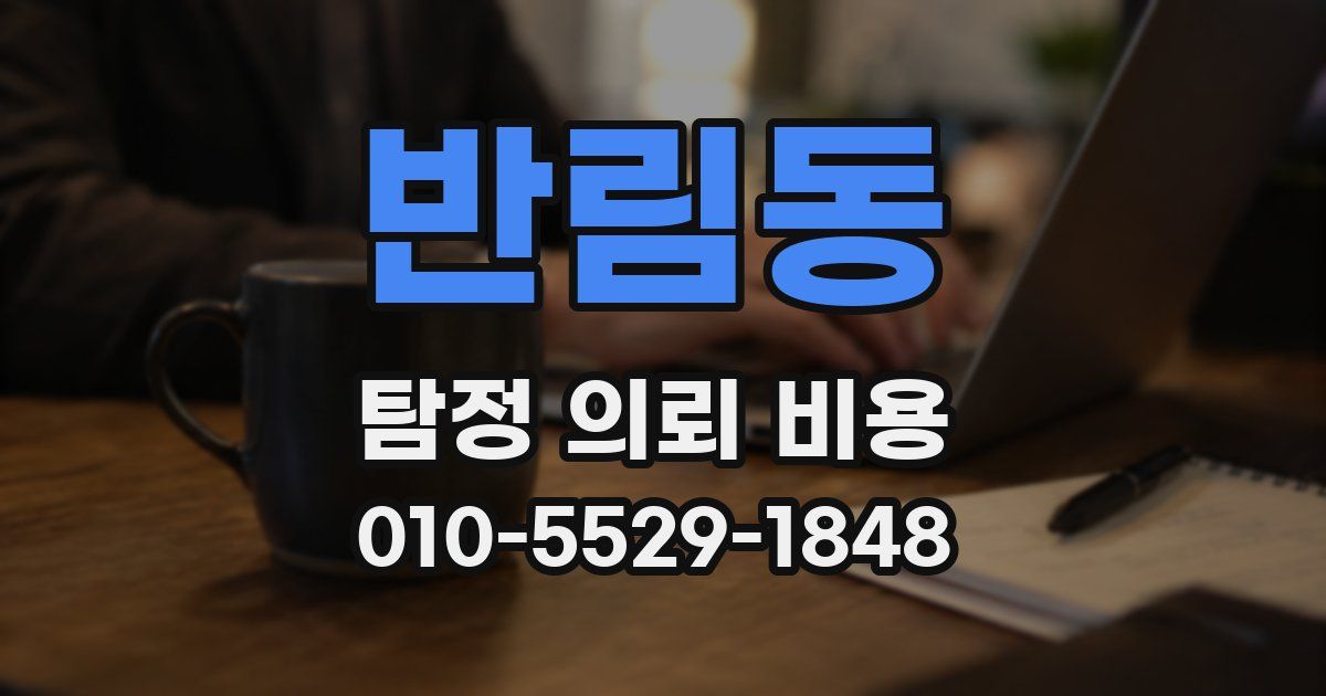 반림동 탐정 의뢰 비용