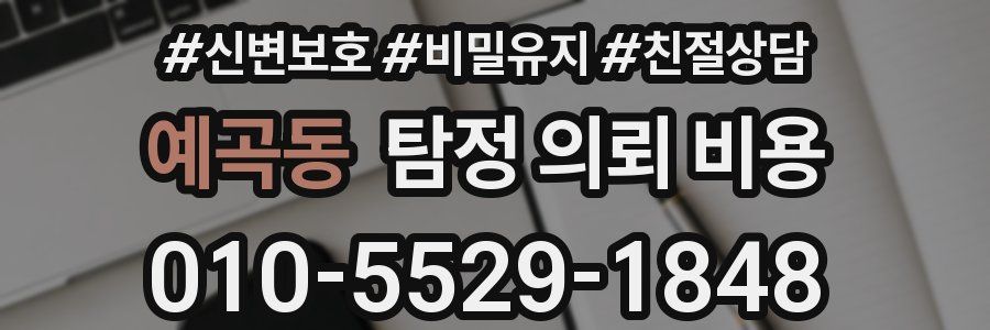 예곡동 탐정 의뢰 비용