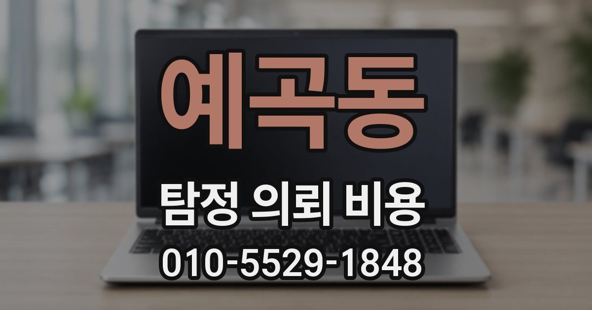 예곡동 탐정 의뢰 비용