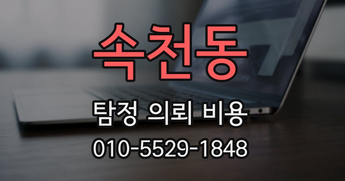 속천동 탐정 의뢰 비용