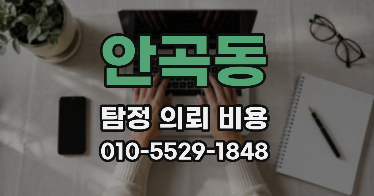 안곡동 탐정 의뢰 비용