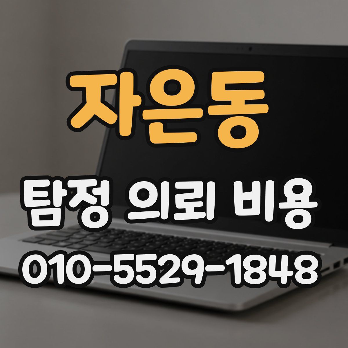 자은동 탐정 의뢰 비용