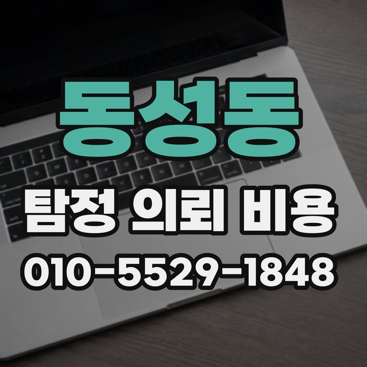 동성동 탐정 의뢰 비용