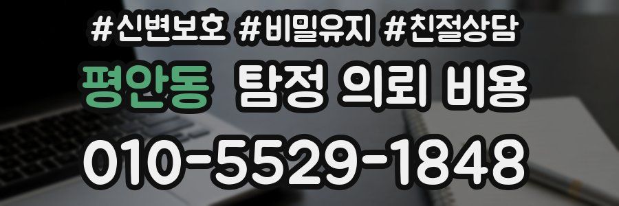 평안동 탐정 의뢰 비용