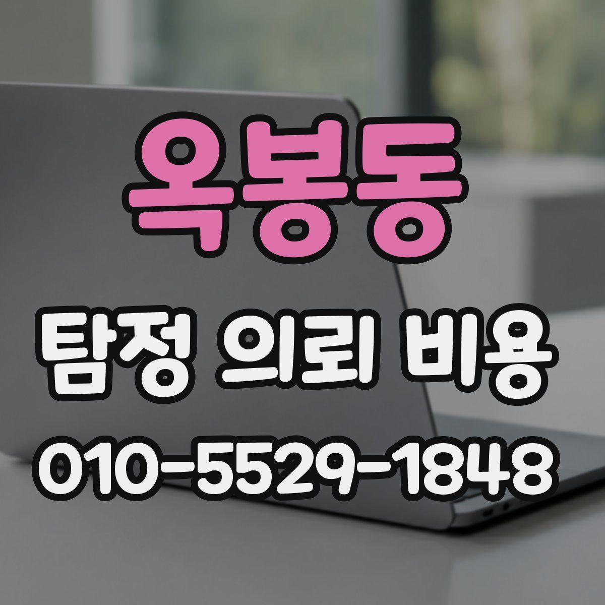 옥봉동 탐정 의뢰 비용