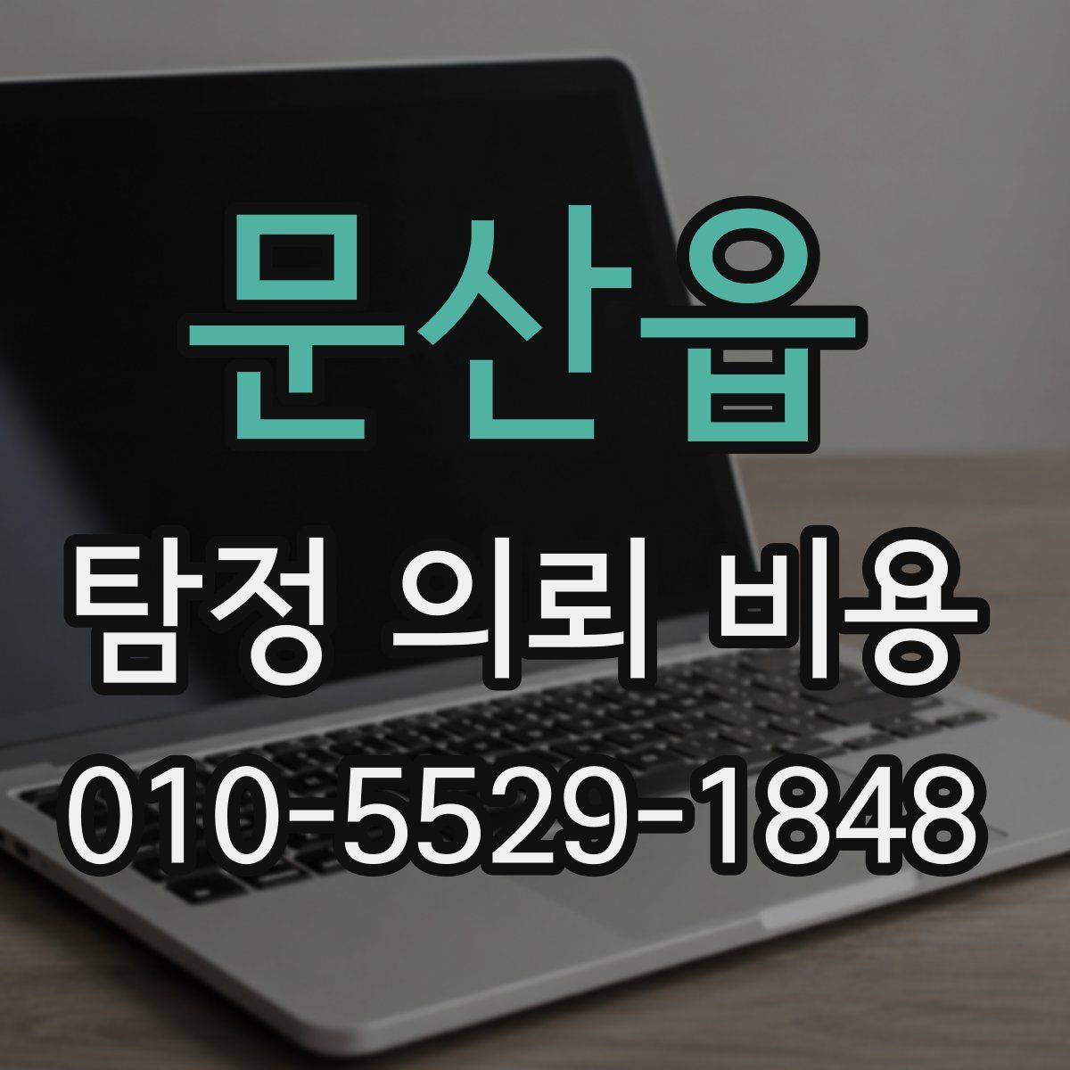 문산읍 탐정 의뢰 비용