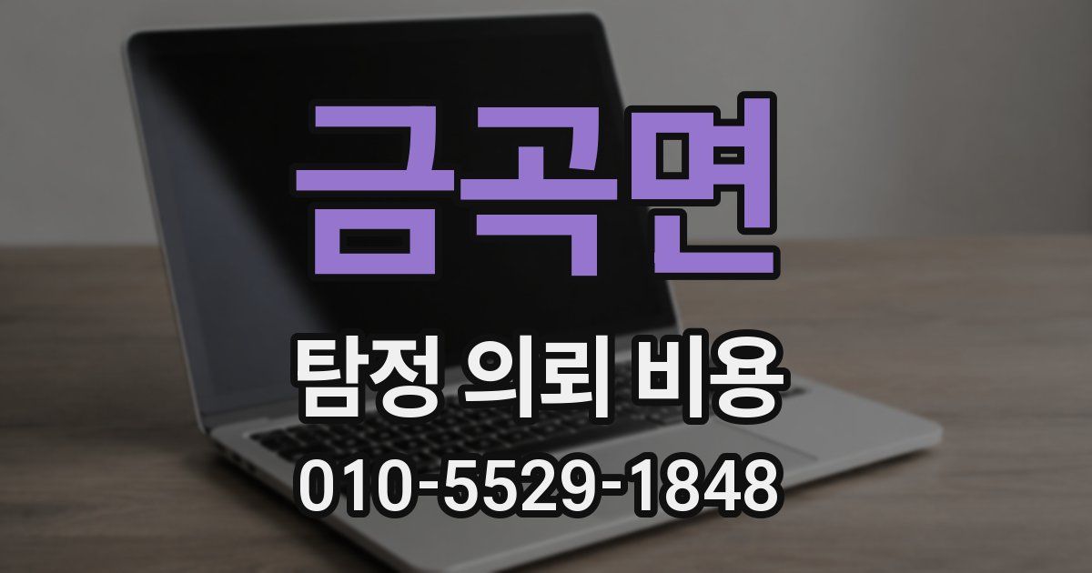 금곡면 탐정 의뢰 비용