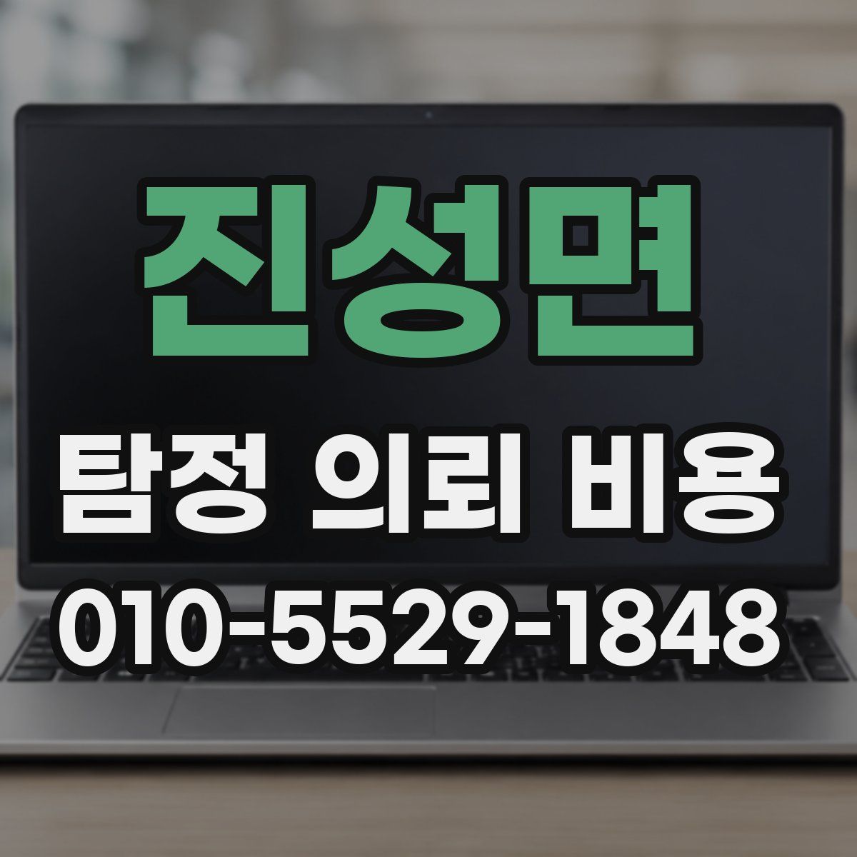 진성면 탐정 의뢰 비용