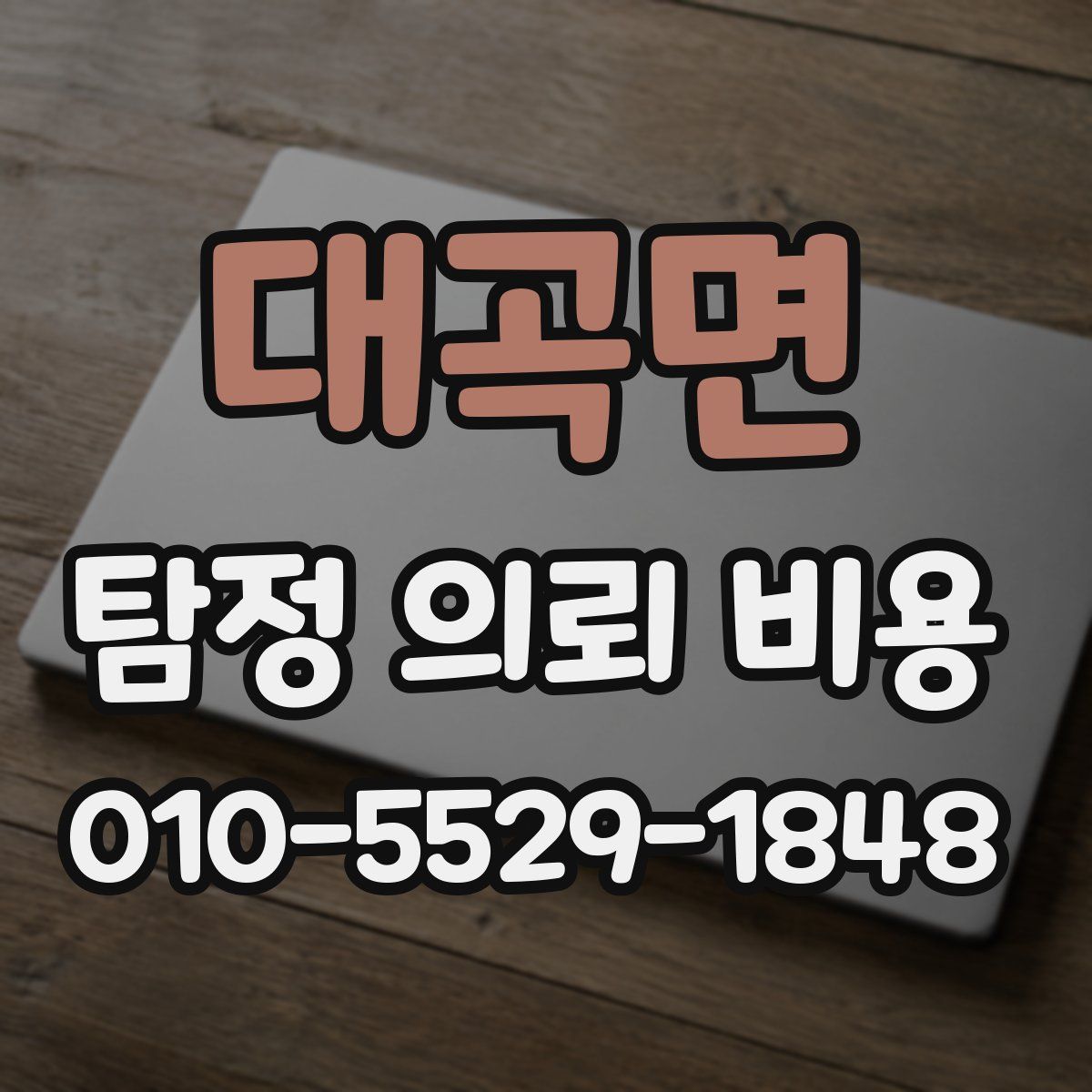 대곡면 탐정 의뢰 비용