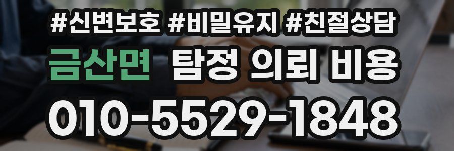 금산면 탐정 의뢰 비용