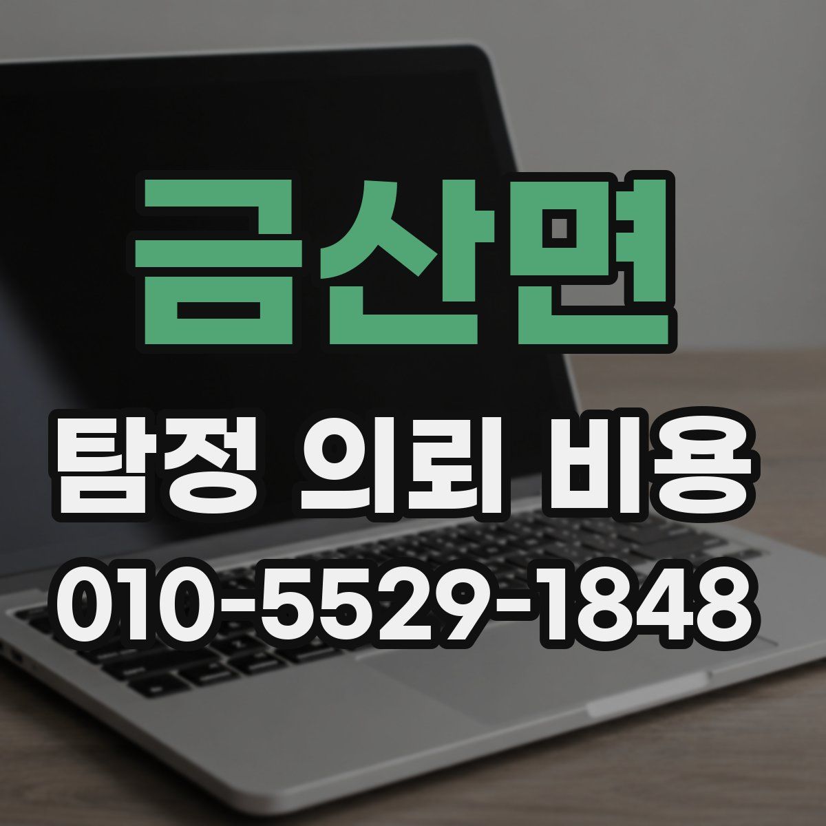 금산면 탐정 의뢰 비용