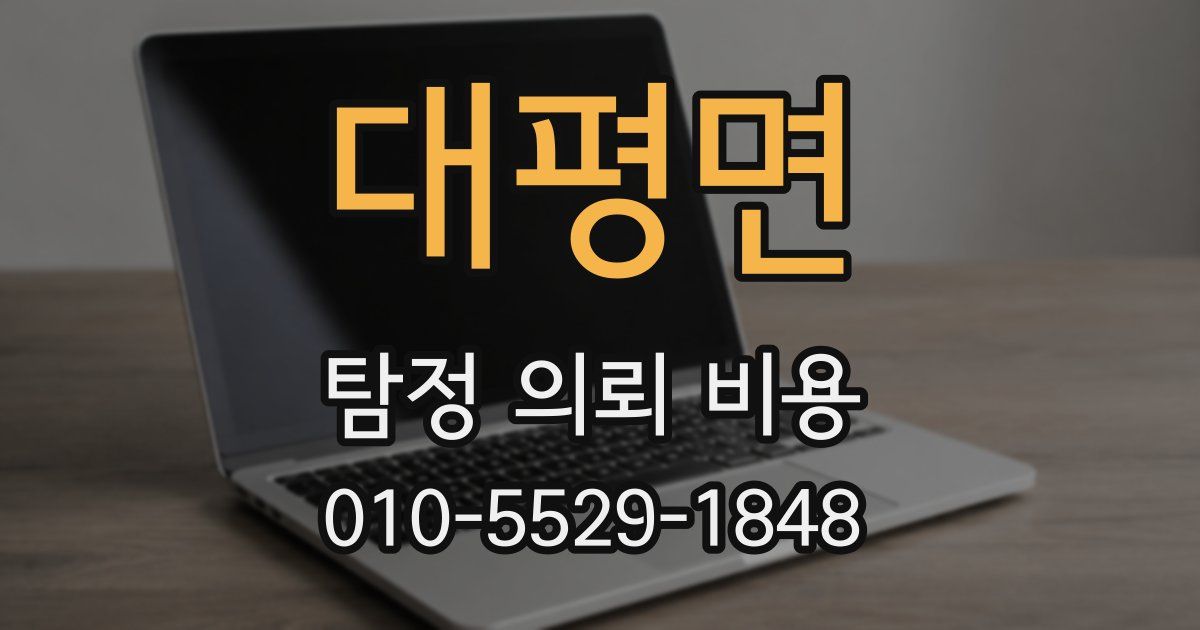 대평면 탐정 의뢰 비용