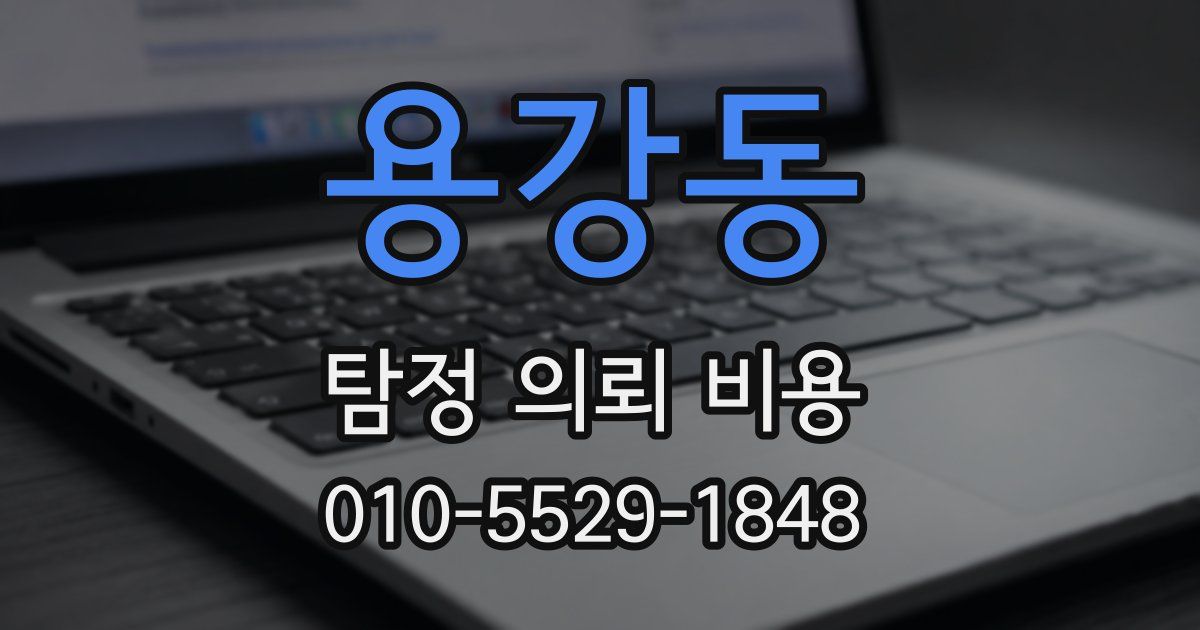 용강동 탐정 의뢰 비용