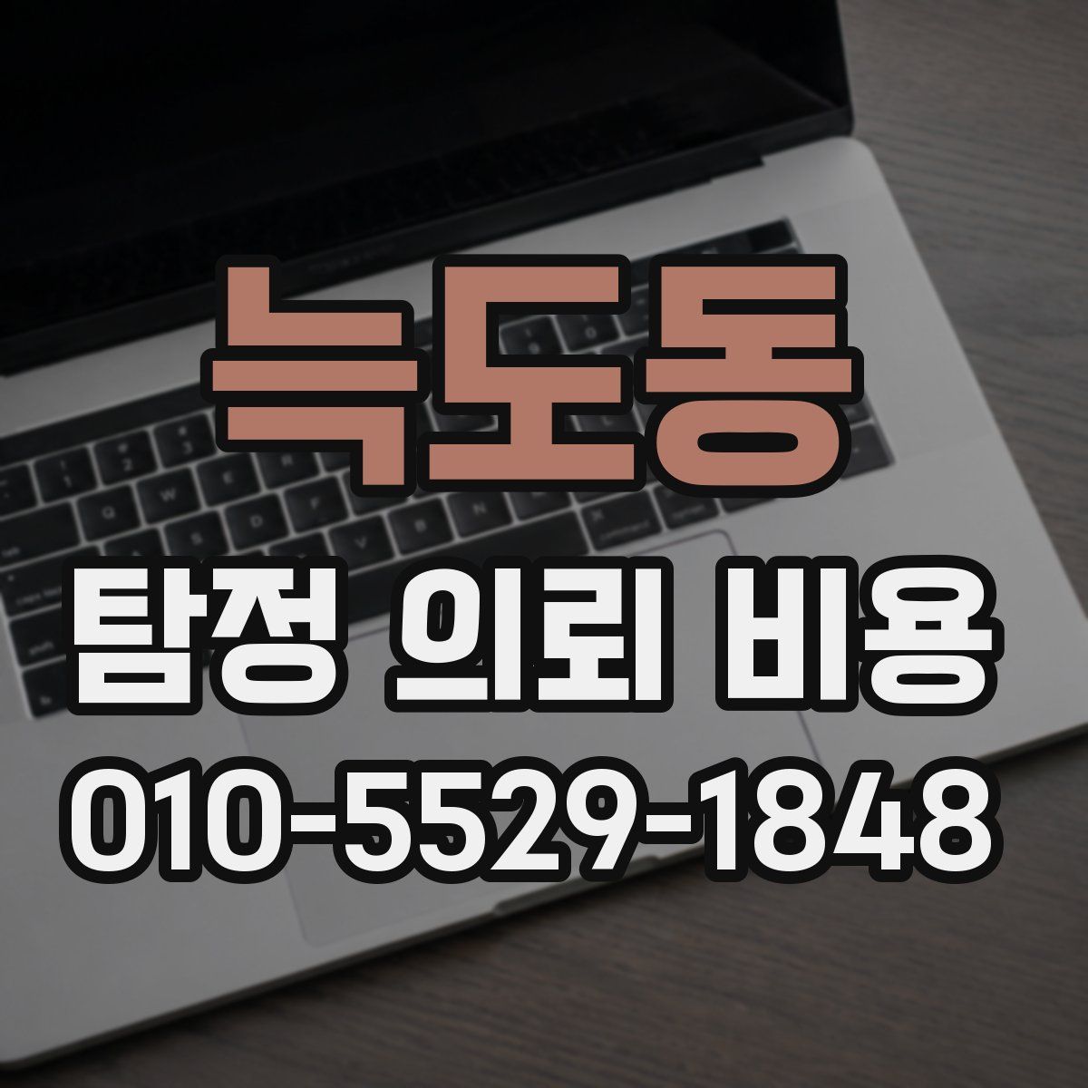 늑도동 탐정 의뢰 비용