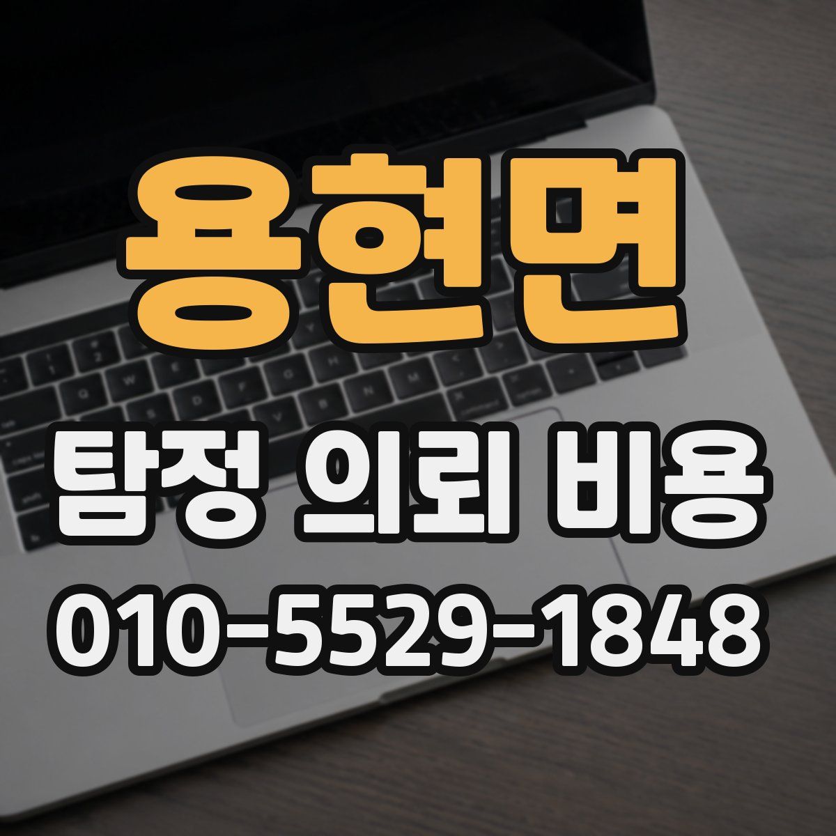 용현면 탐정 의뢰 비용