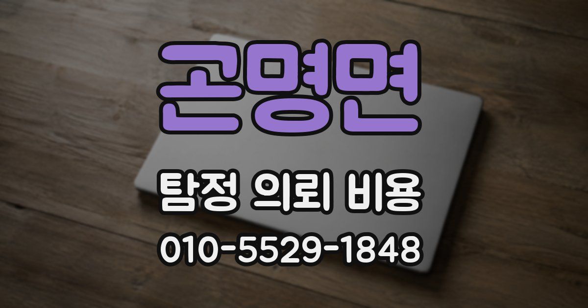 곤명면 탐정 의뢰 비용
