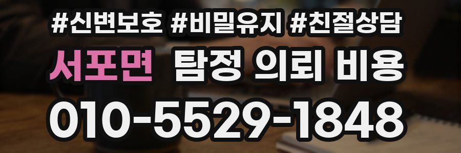 서포면 탐정 의뢰 비용
