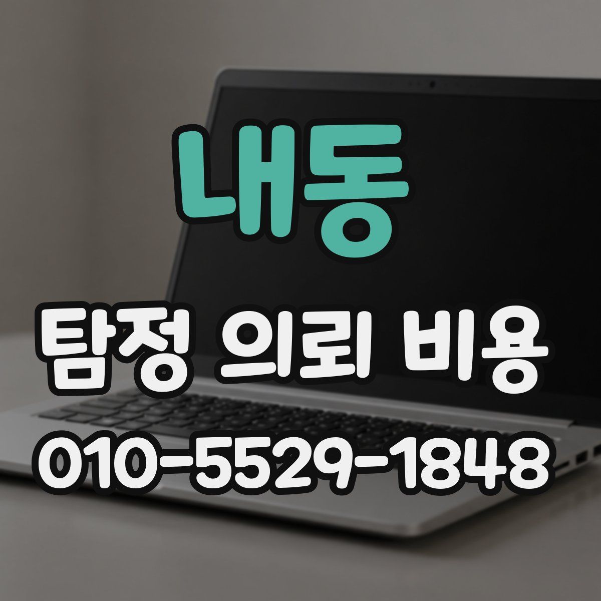 내동 탐정 의뢰 비용