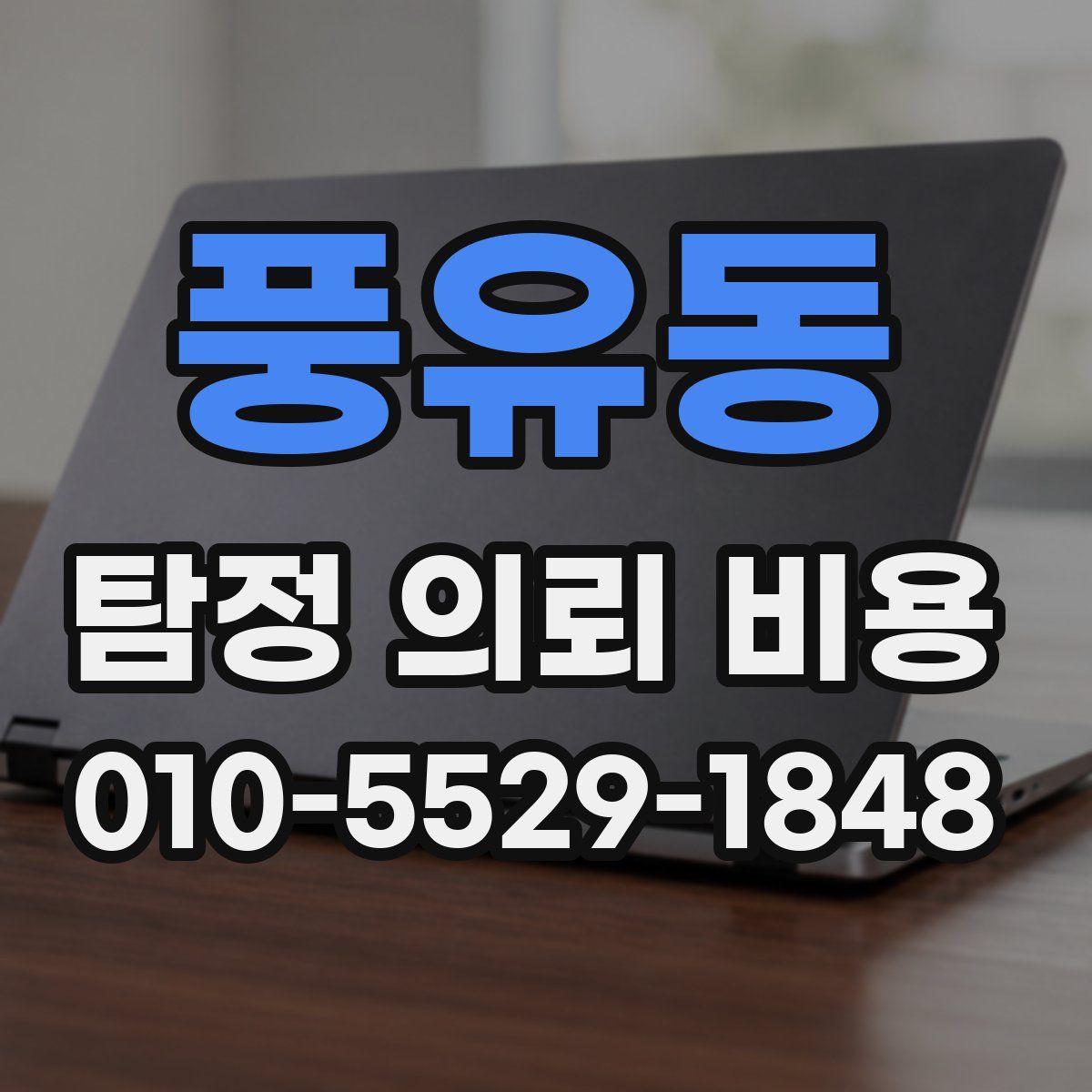 풍유동 탐정 의뢰 비용