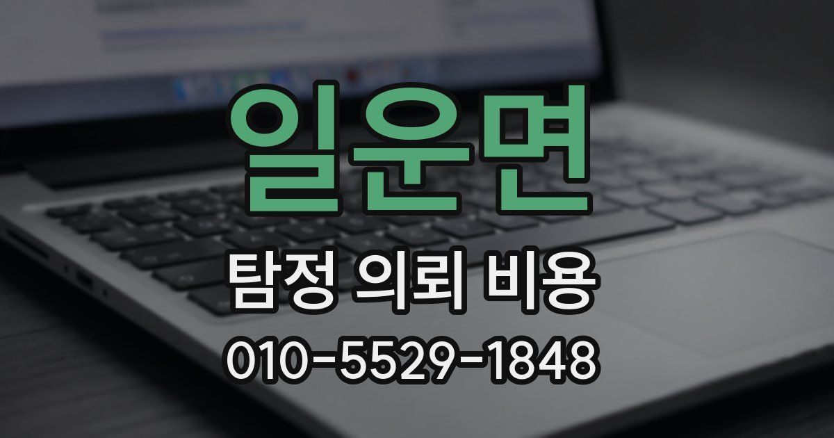 일운면 탐정 의뢰 비용