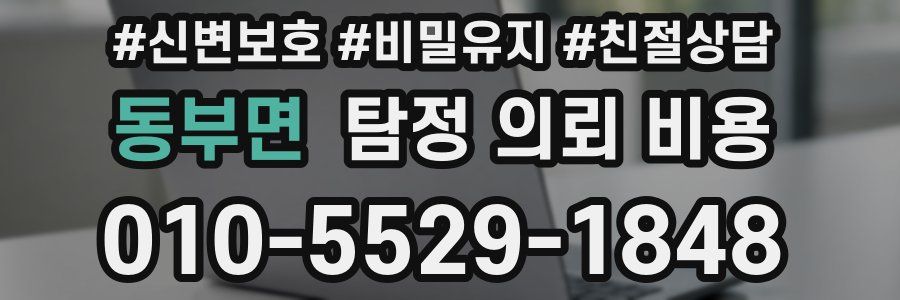 동부면 탐정 의뢰 비용
