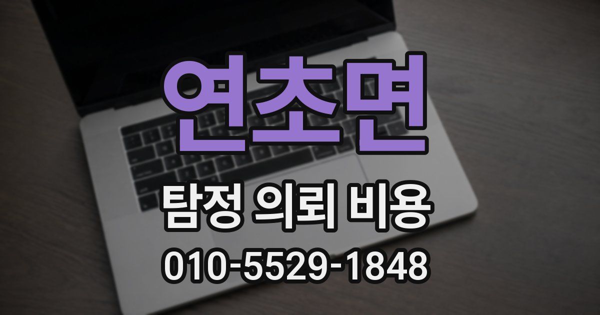 연초면 탐정 의뢰 비용