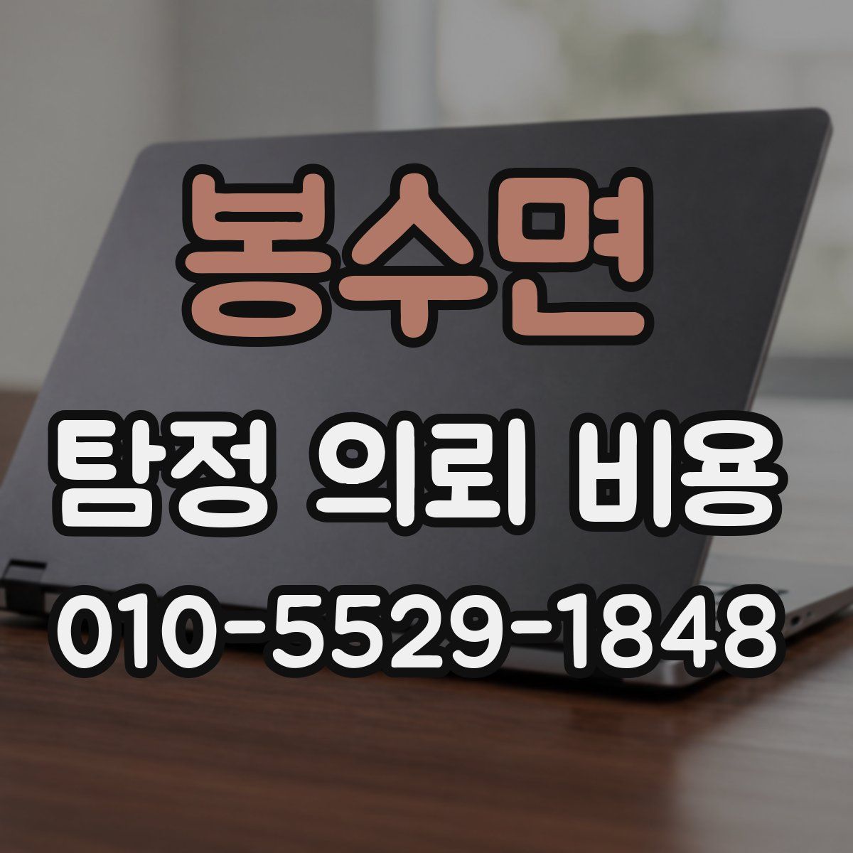 봉수면 탐정 의뢰 비용