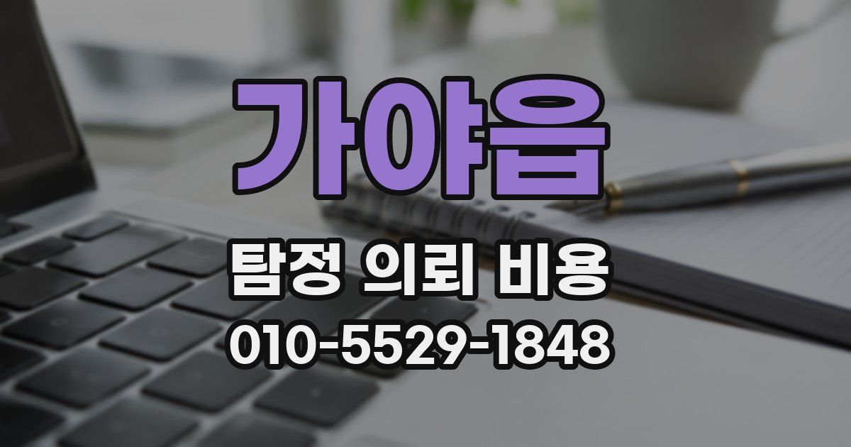가야읍 탐정 의뢰 비용