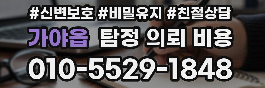 가야읍 탐정 의뢰 비용