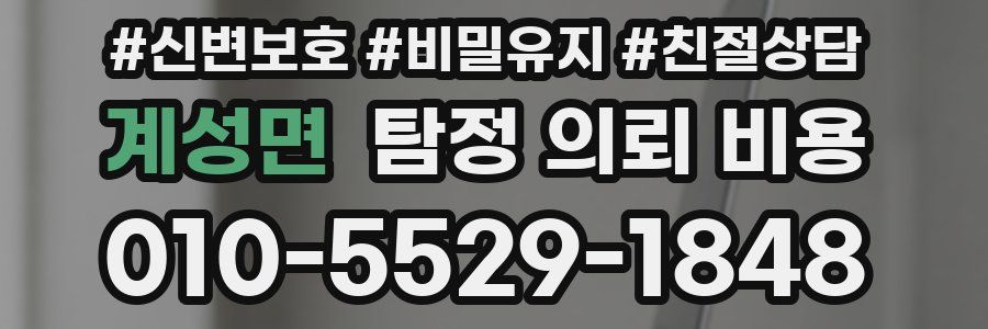 계성면 탐정 의뢰 비용