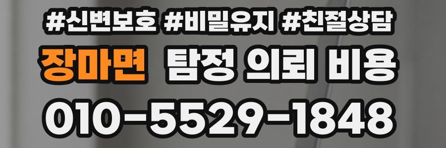 장마면 탐정 의뢰 비용