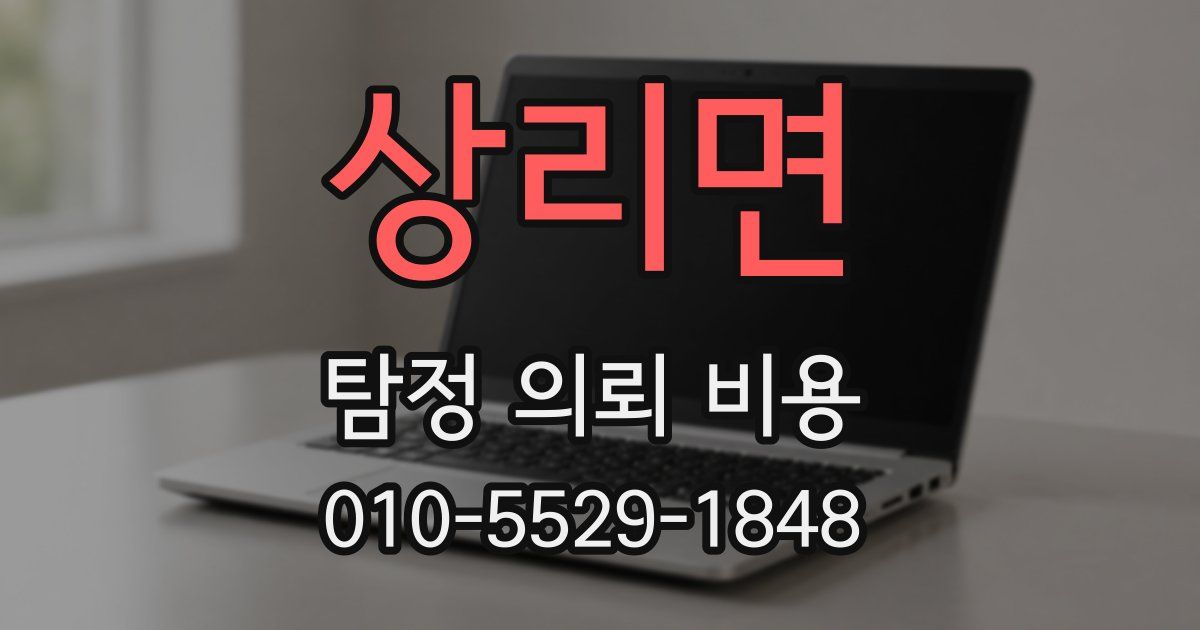 상리면 탐정 의뢰 비용