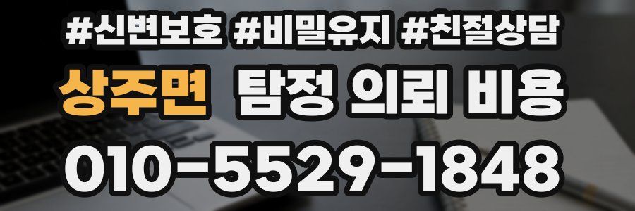 상주면 탐정 의뢰 비용
