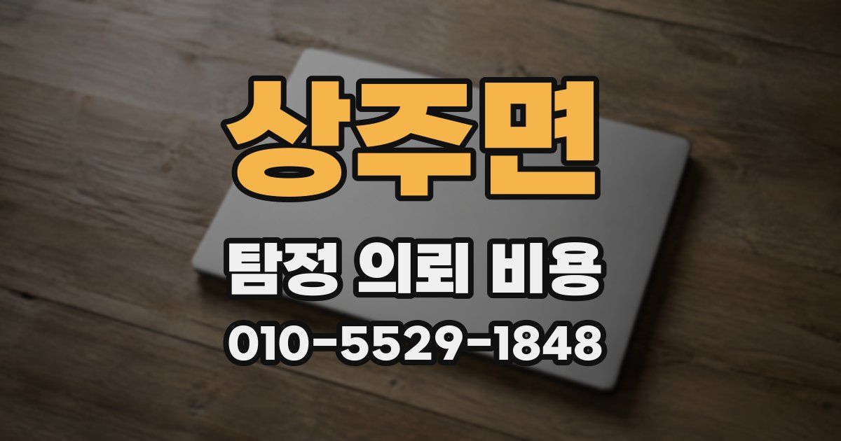 상주면 탐정 의뢰 비용