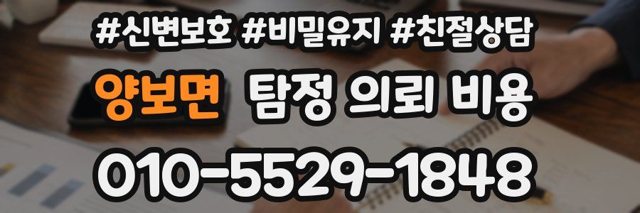 양보면 탐정 의뢰 비용