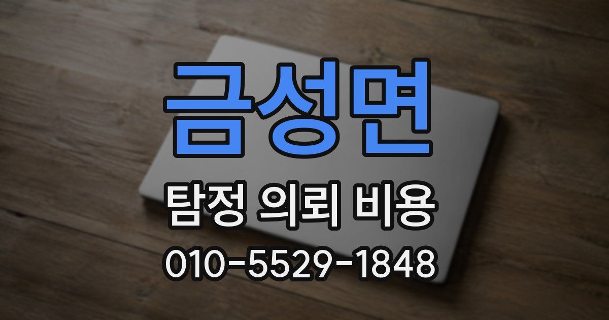금성면 탐정 의뢰 비용