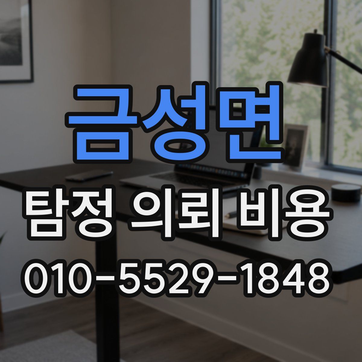 금성면 탐정 의뢰 비용