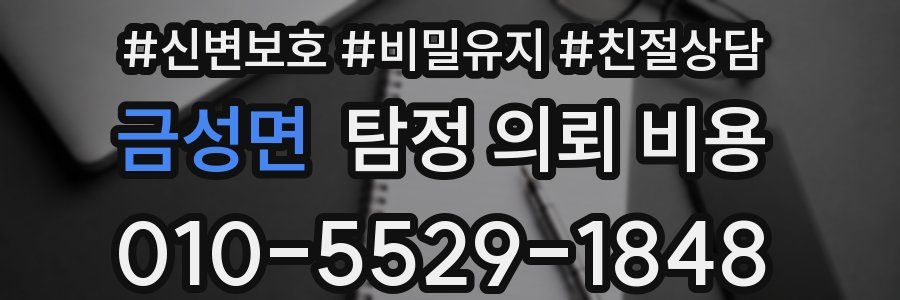 금성면 탐정 의뢰 비용