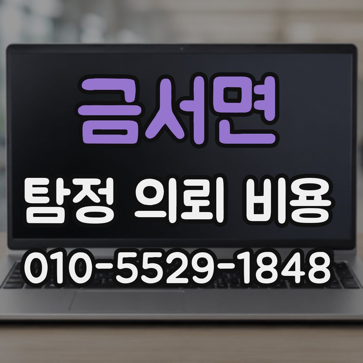 금서면 탐정 의뢰 비용