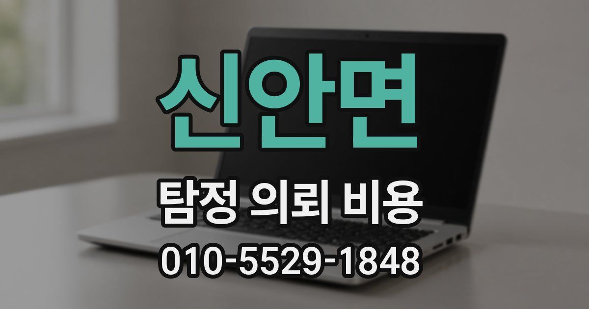 신안면 탐정 의뢰 비용