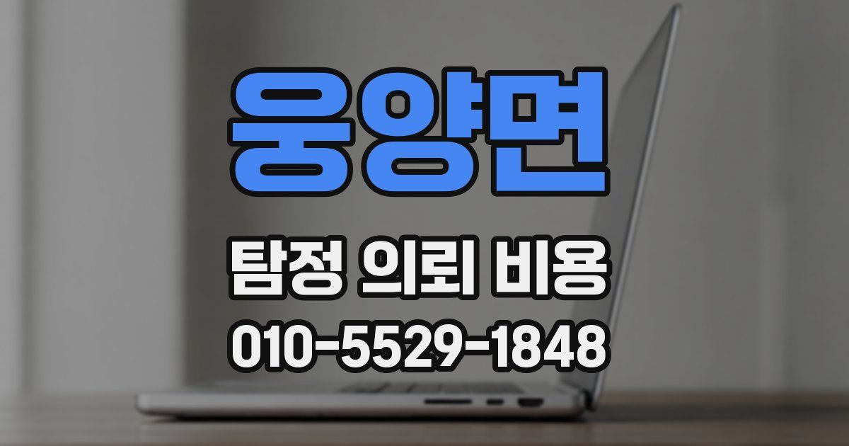 웅양면 탐정 의뢰 비용