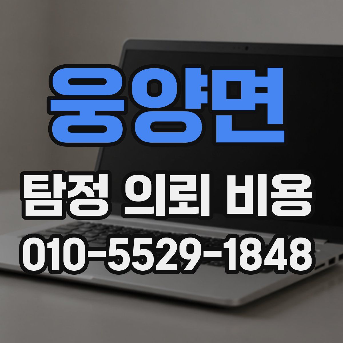 웅양면 탐정 의뢰 비용