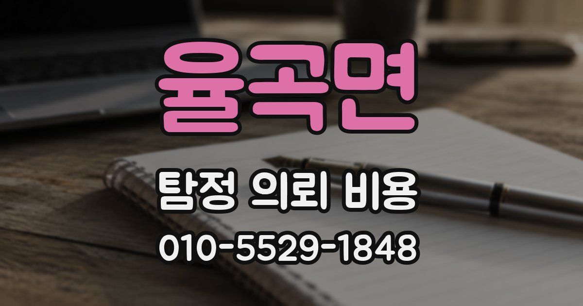 율곡면 탐정 의뢰 비용